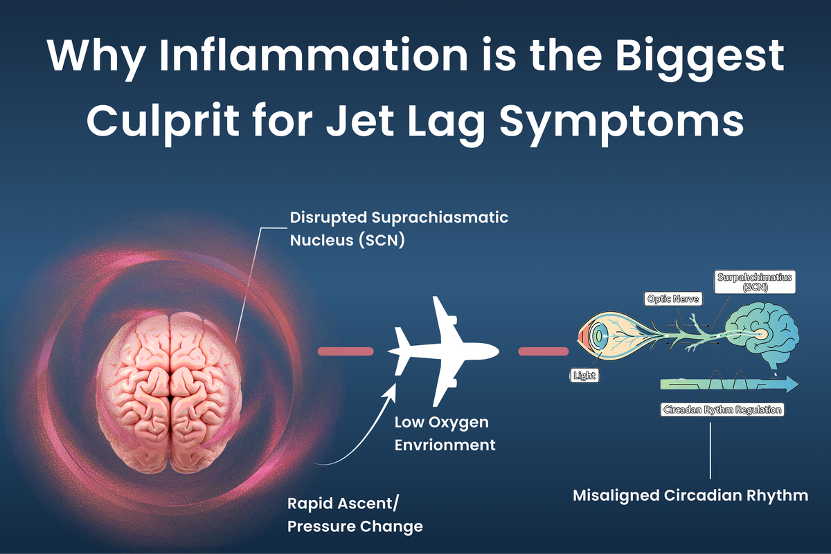Why Inflammation is the Biggest Culprit for Jet Lag Symptoms